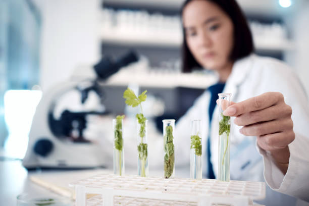 Lab Testing