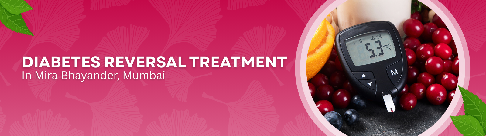 Diabetes Reversal Treatment