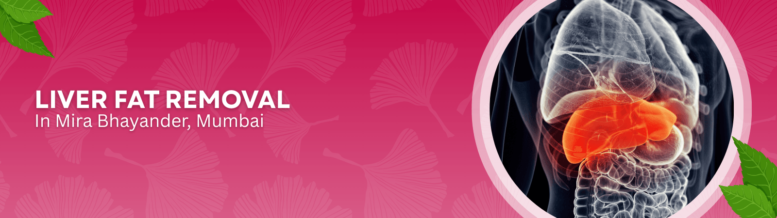 Liver Fat Removal Dr gayatri service page Liver Fat removal banner