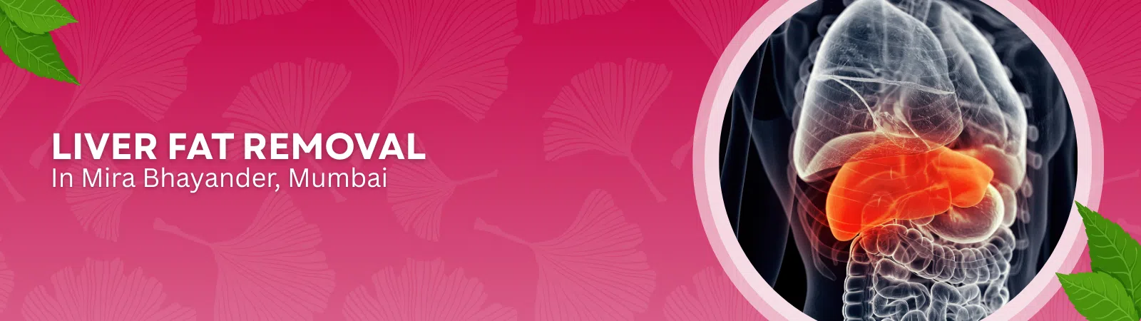 Liver Fat removal banner