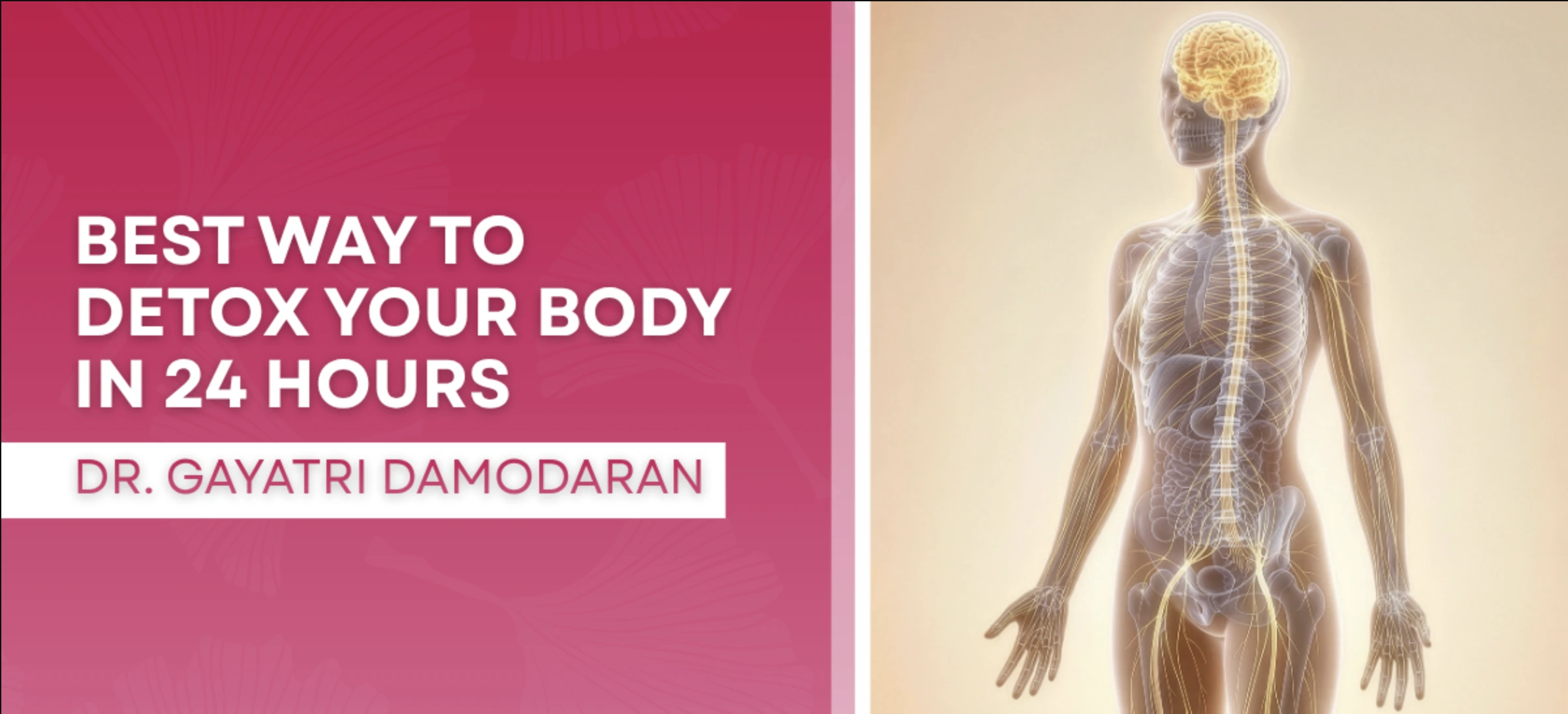 Best Way to Detox Your Body in 24 Hours