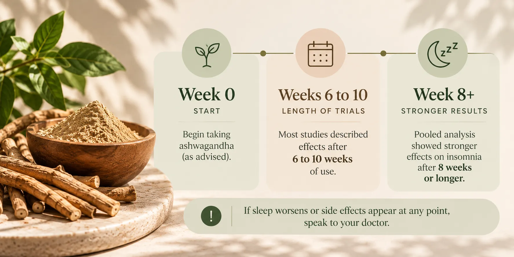 Infographic timeline about ashwagandha: Week 0 start, Weeks 6–10 length of trials, Week 8+ stronger results, with a bowl of powder and cinnamon sticks in the background.
